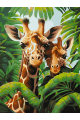 Картина по номерам на подрамнике «Два жирафа» 70x50 см