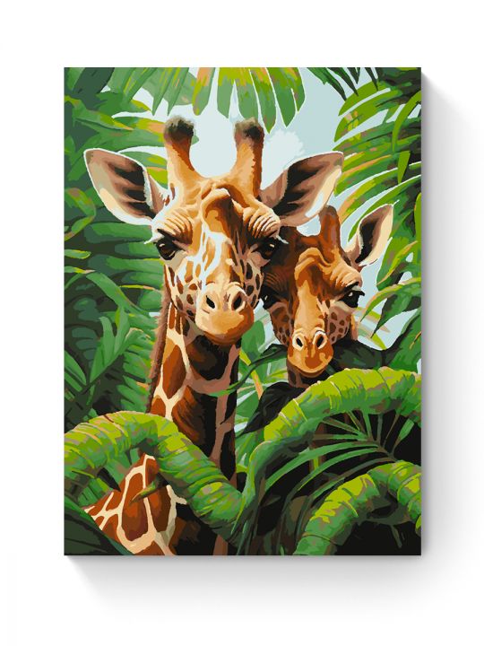 Картина по номерам на подрамнике «Два жирафа» 70x50 см