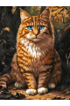 Картина по номерам на подрамнике «Рыжий кот» 70x50 см