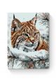 Картина по номерам на подрамнике «Рысь зимой» 70x50 см