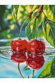 Картина по номерам на подрамнике «Спелая вишня» 70x50 см