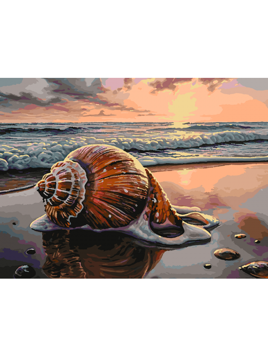 Картина по номерам без подрамника «Ракушка» 70x50 см