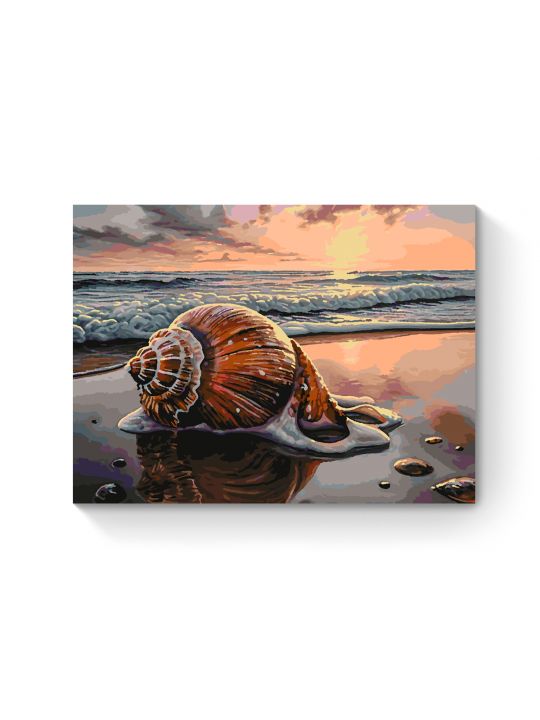 Картина по номерам на подрамнике «Ракушка» 70x50 см