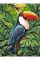 Картина по номерам на подрамнике «Птица Тукан» 70x50 см