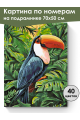 Картина по номерам на подрамнике «Птица Тукан» 70x50 см