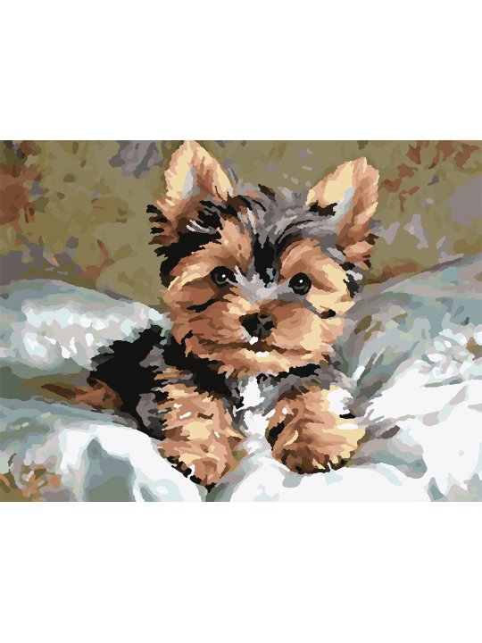 Картина по номерам без подрамника «Йорк щенок» 25x20 см