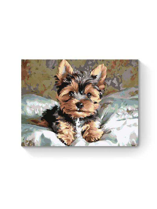 Картина по номерам на подрамнике «Йорк щенок» 35x25 см
