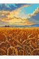 Картина по номерам на подрамнике «Поле пшеницы» 25x20 см