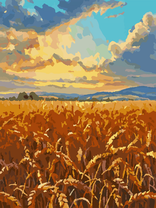 Картина по номерам без подрамника «Поле пшеницы» 25x20 см