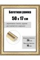 Рамка багетная для картин со стеклом 50 x 17 см, РБ-272