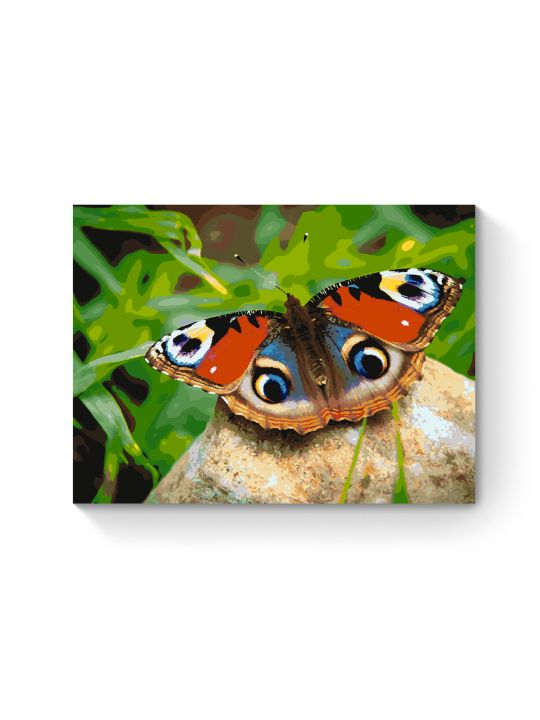 Картина по номерам на подрамнике «Яркая бабочка» 90x70 см