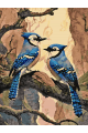 Картина по номерам без подрамника «Голубые сойки» 90x70 см