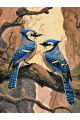 Картина по номерам без подрамника «Голубые сойки» 130x100 см