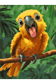 Картина по номерам на подрамнике «Попугайчик» 90x70 см