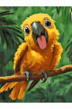 Картина по номерам без подрамника «Попугайчик» 130x100 см