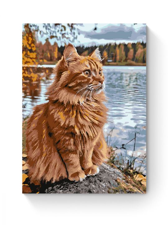 Картина по номерам на подрамнике «Рыжий кот» 90x70 см