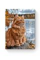 Картина по номерам на подрамнике «Рыжий кот» 90x70 см