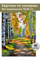 Картина по номерам без подрамника «Лесная тропа» 70x50 см