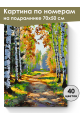 Картина по номерам на подрамнике «Лесная тропа» 70x50 см