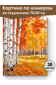 Картина по номерам на подрамнике «Осенний лес» 70x50 см