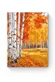Картина по номерам на подрамнике «Осенний лес» 70x50 см