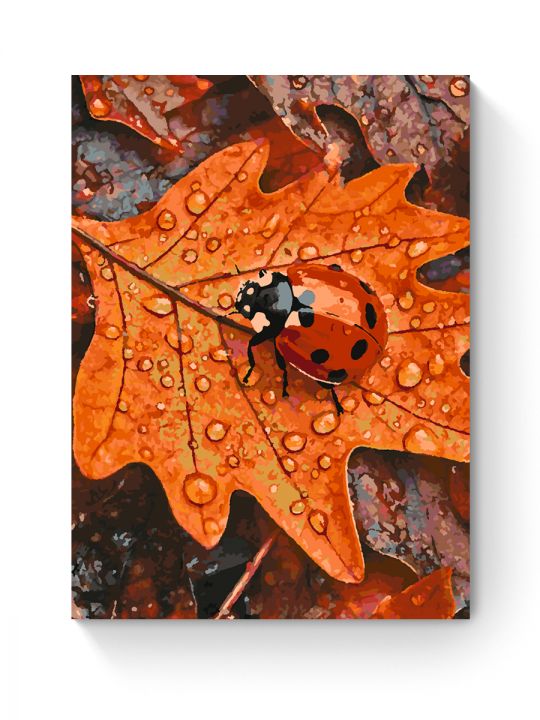 Картина по номерам на подрамнике «Божья коровка» 70x50 см
