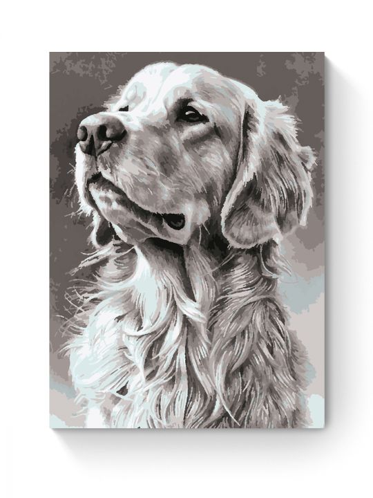 Картина по номерам на подрамнике «Лабрадор» 70x50 см