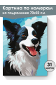Картина по номерам на подрамнике «Бордер-колли» 70x50 см