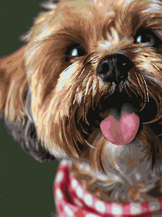 Картина по номерам без подрамника «Милый йорк» 70x50 см