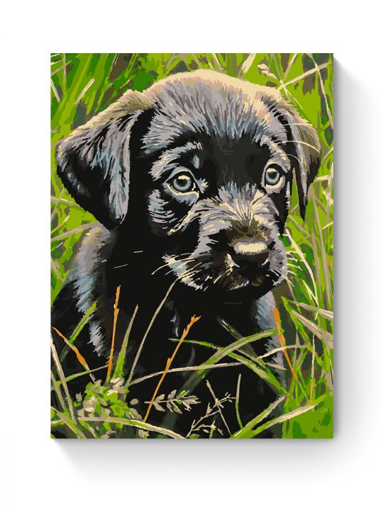 Картина по номерам на подрамнике «Черный щенок» 70x50 см