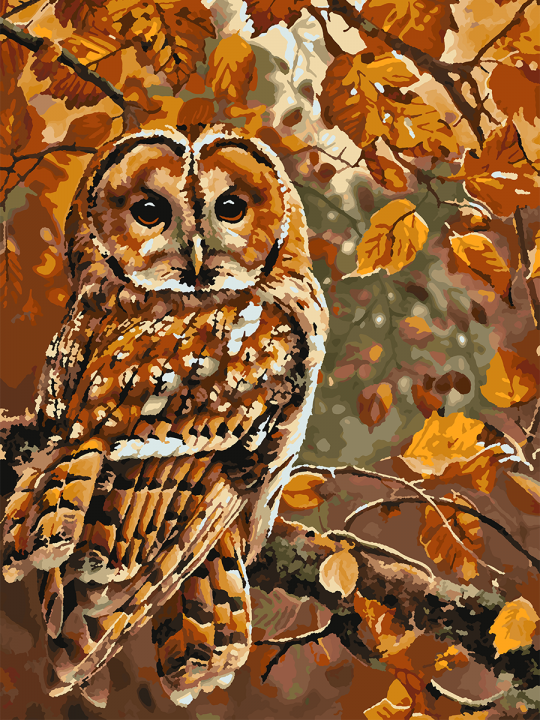 Картина по номерам без подрамника «Совушка» 70x50 см