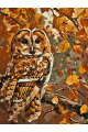 Картина по номерам без подрамника «Совушка» 70x50 см