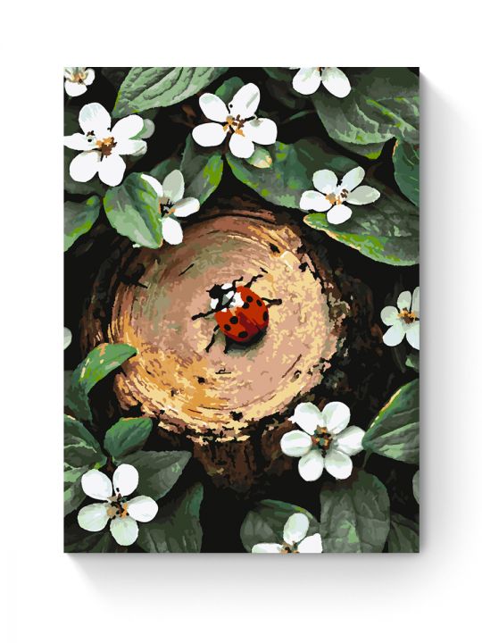 Картина по номерам на подрамнике «Божья коровка» 70x50 см