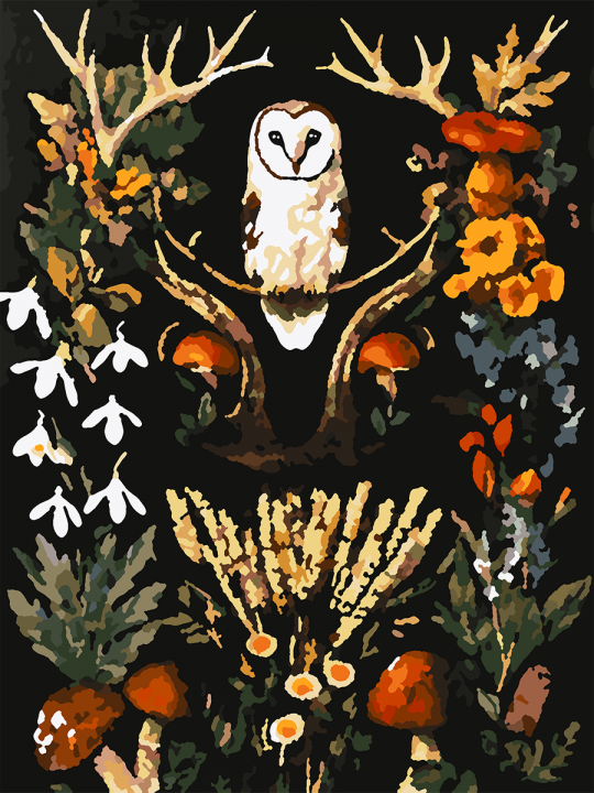 Картина по номерам без подрамника «Загадка леса» 25x20 см