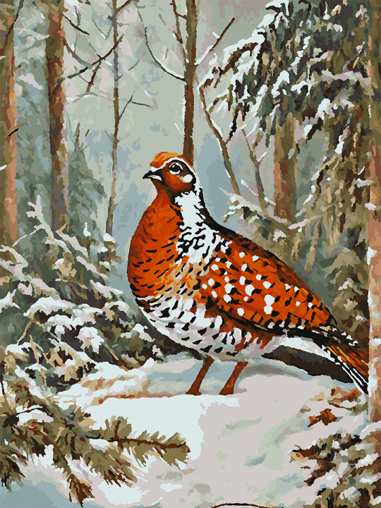 Картина по номерам без подрамника «Фазан в лесу» 70x50 см