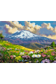 Картина по номерам на подрамнике «Цветы в горах» 70x50 см