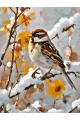 Картина по номерам на подрамнике «Воробей» 70x50 см