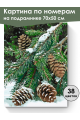 Картина по номерам на подрамнике «Еловая ветвь» 70x50 см