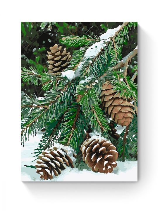Картина по номерам на подрамнике «Еловая ветвь» 70x50 см