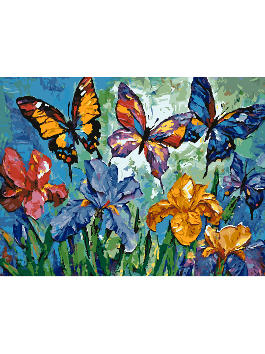 Картина по номерам без подрамника «Бабочки» 70x50 см