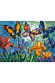 Картина по номерам без подрамника «Бабочки» 70x50 см