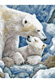 Картина по номерам на подрамнике «Белые медведи» 70x50 см