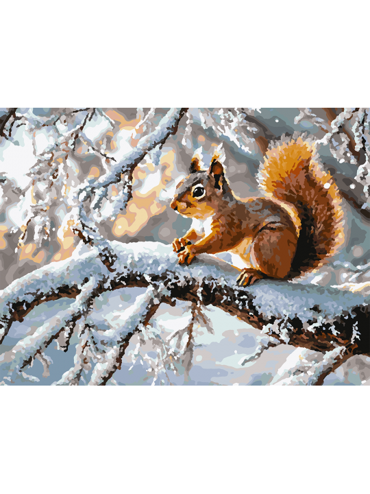 Картина по номерам без подрамника «Белочка» 50x40 см