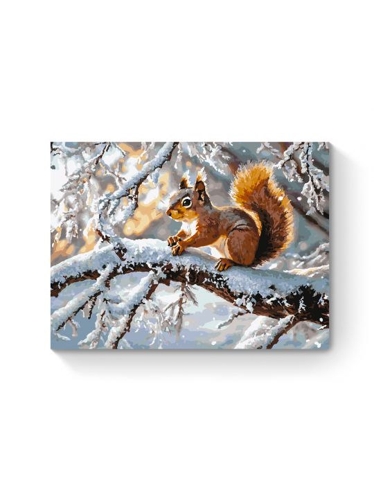 Картина по номерам на подрамнике «Белочка» 70x50 см