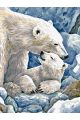 Картина по номерам на подрамнике «Белые медведи» 90x70 см