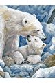 Картина по номерам без подрамника «Белые медведи» 130x100 см
