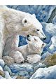 Картина по номерам без подрамника «Белые медведи» 80x60 см