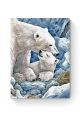 Картина по номерам на подрамнике «Белые медведи» 80x60 см