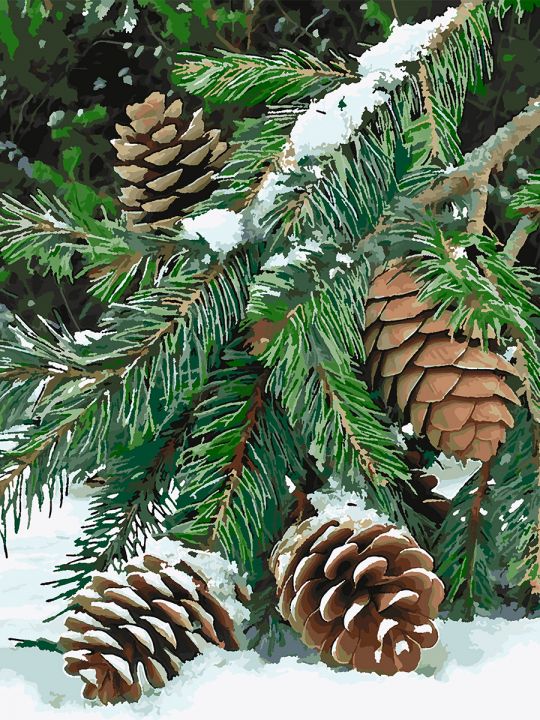 Картина по номерам без подрамника «Еловая ветвь» 90x70 см