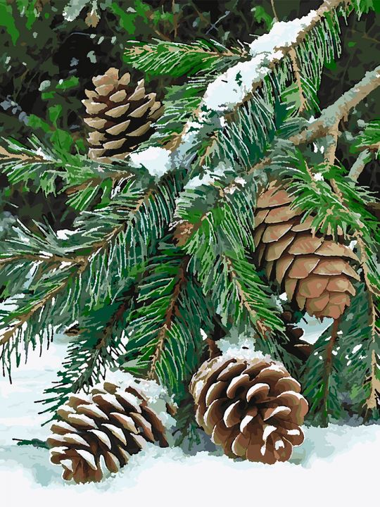 Картина по номерам без подрамника «Еловая ветвь» 80x60 см